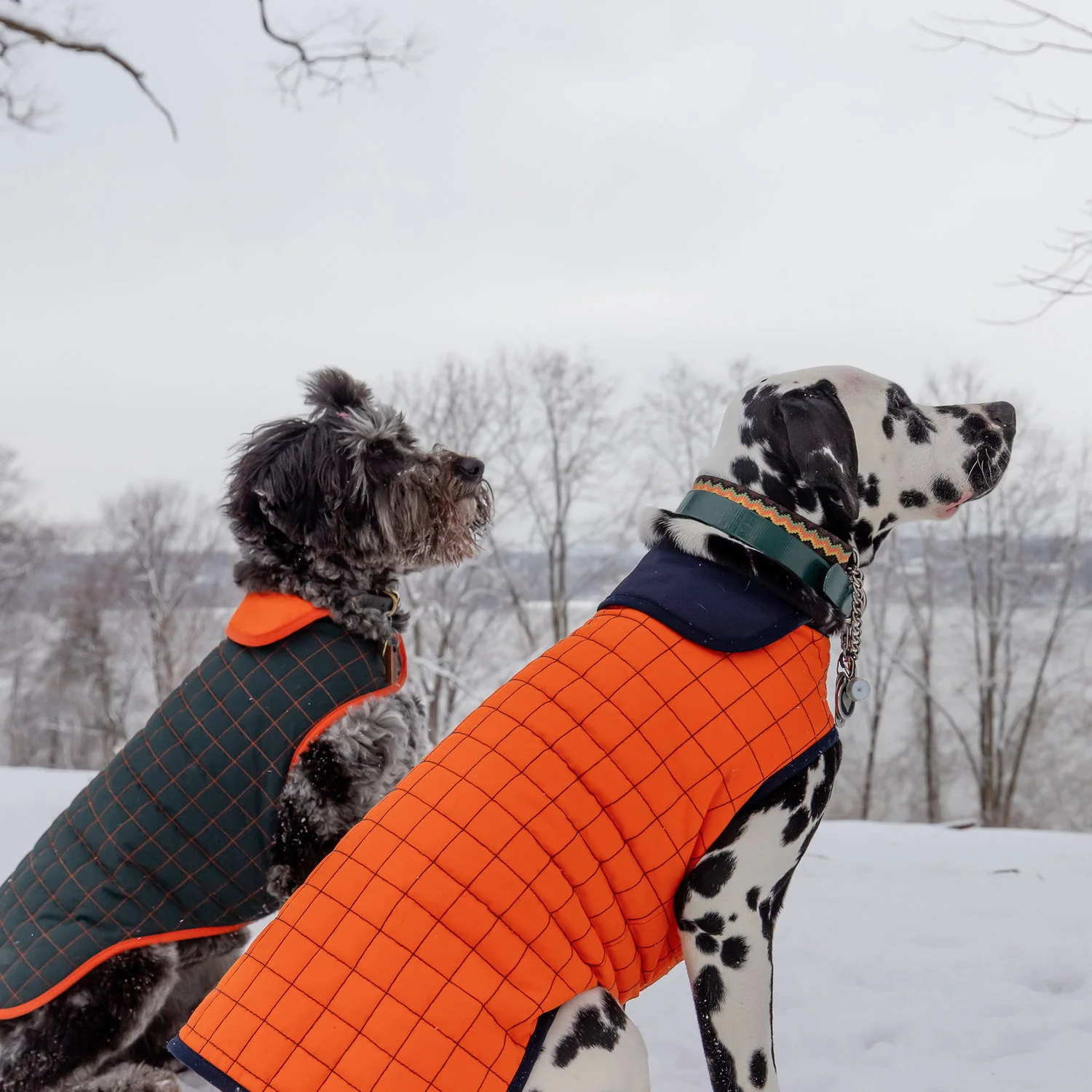 PACO & LUCIA | Mayu Marus Water Resistant Coat - Image 5