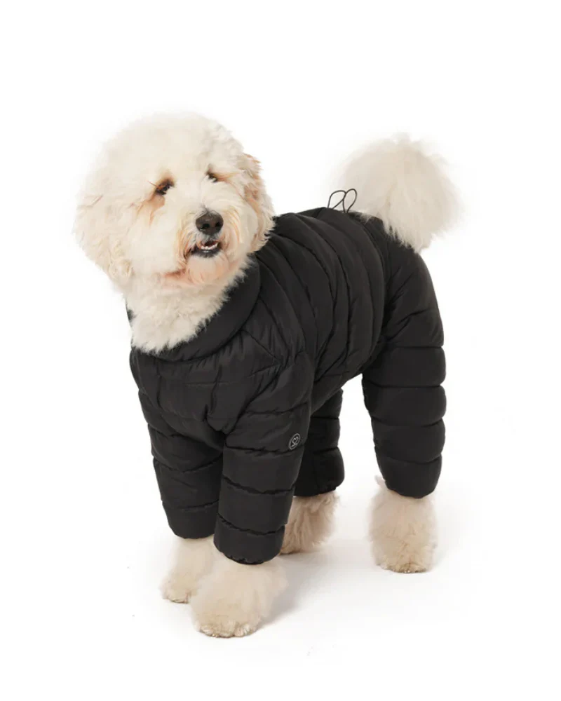 Padded Goosefeel Winter Coverall for Dogs - Image 3