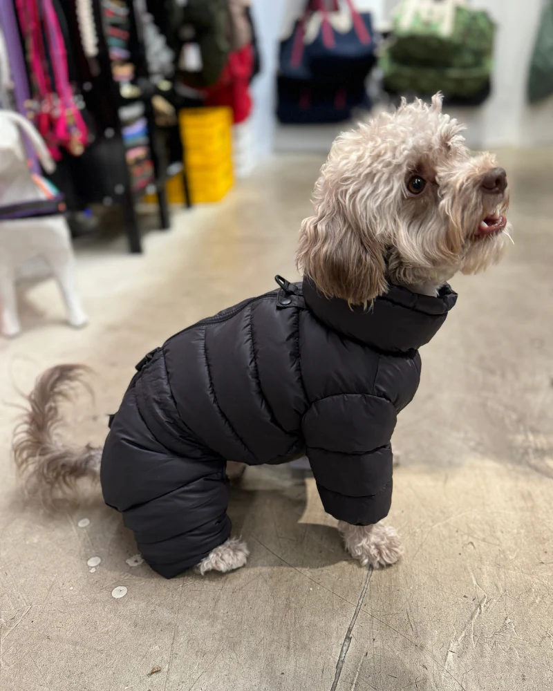 Padded Goosefeel Winter Coverall for Dogs - Image 4