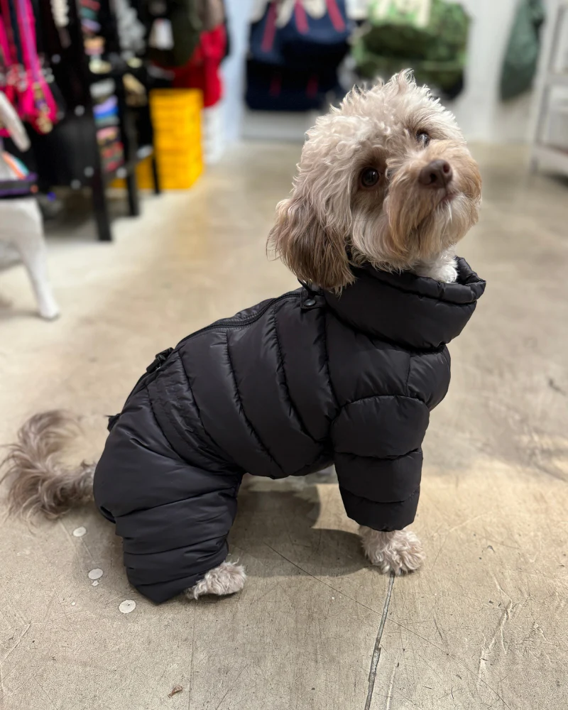 Padded Goosefeel Winter Coverall for Dogs - Image 6