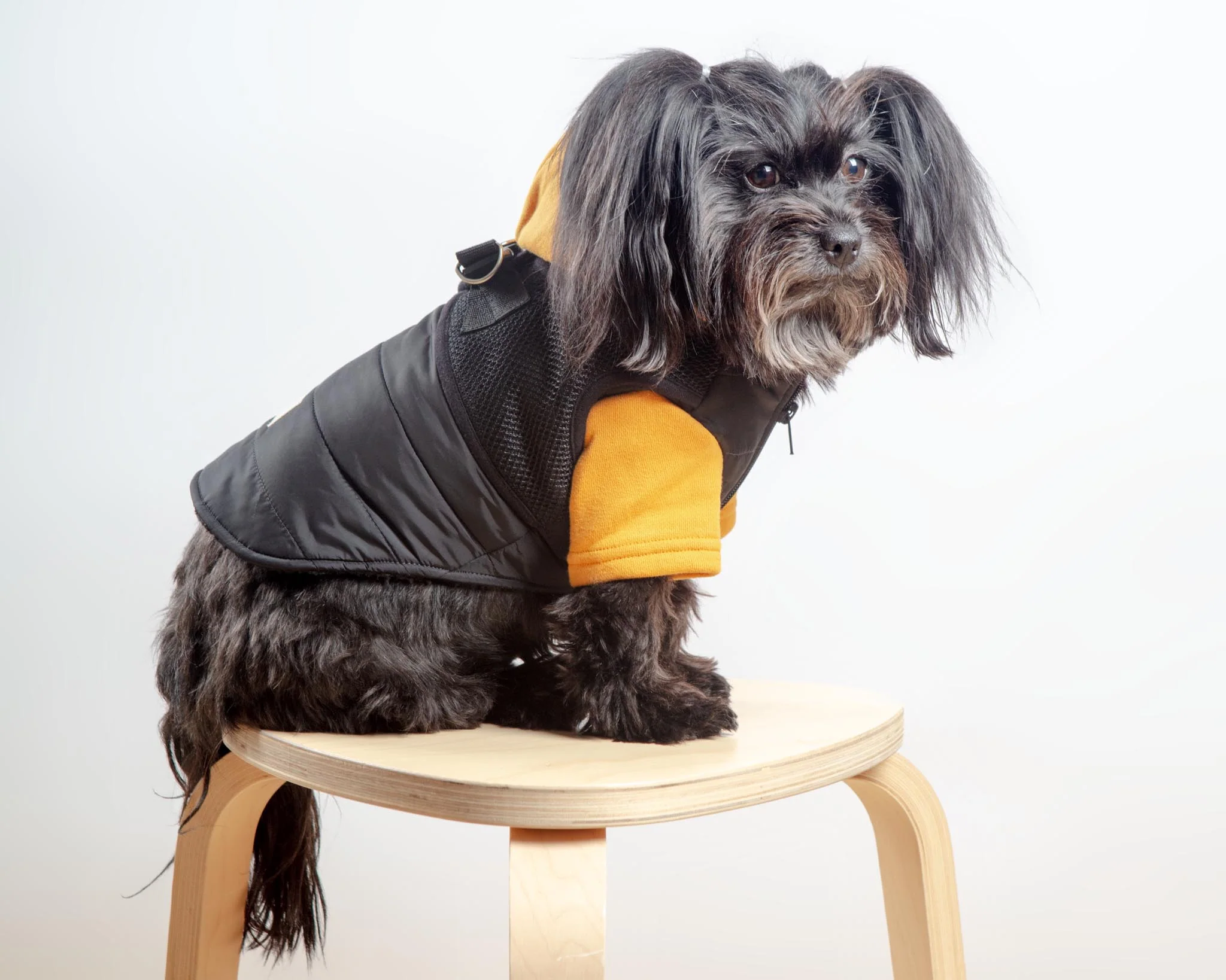Padded Hoodie Harness Dog Jacket (FINAL SALE) - Image 7