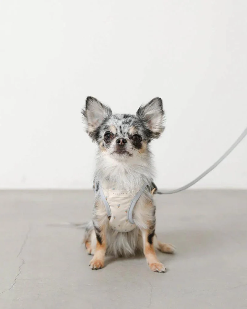 Padded Ice Cream Cone Dog Harness + Lead Set (FINAL SALE) - Image 2