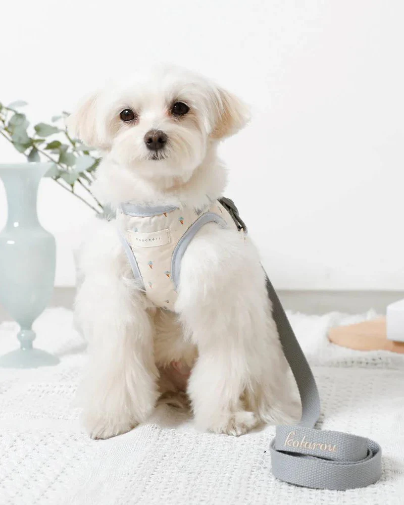 Padded Ice Cream Cone Dog Harness + Lead Set (FINAL SALE) - Image 7