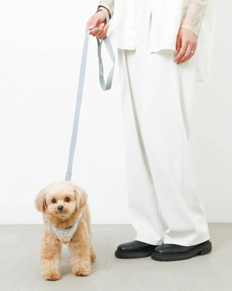 Padded Ice Cream Cone Dog Harness + Lead Set (FINAL SALE) - Image 8