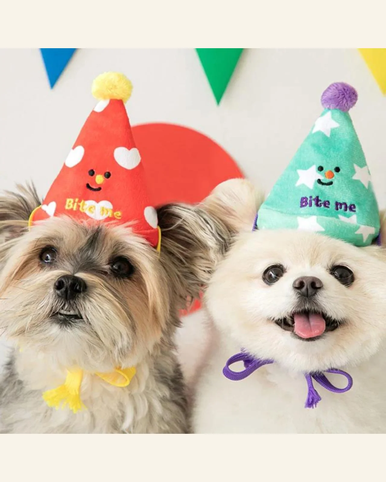 Party Hat Nosework Dog Toy Set (FINAL SALE) - Image 2