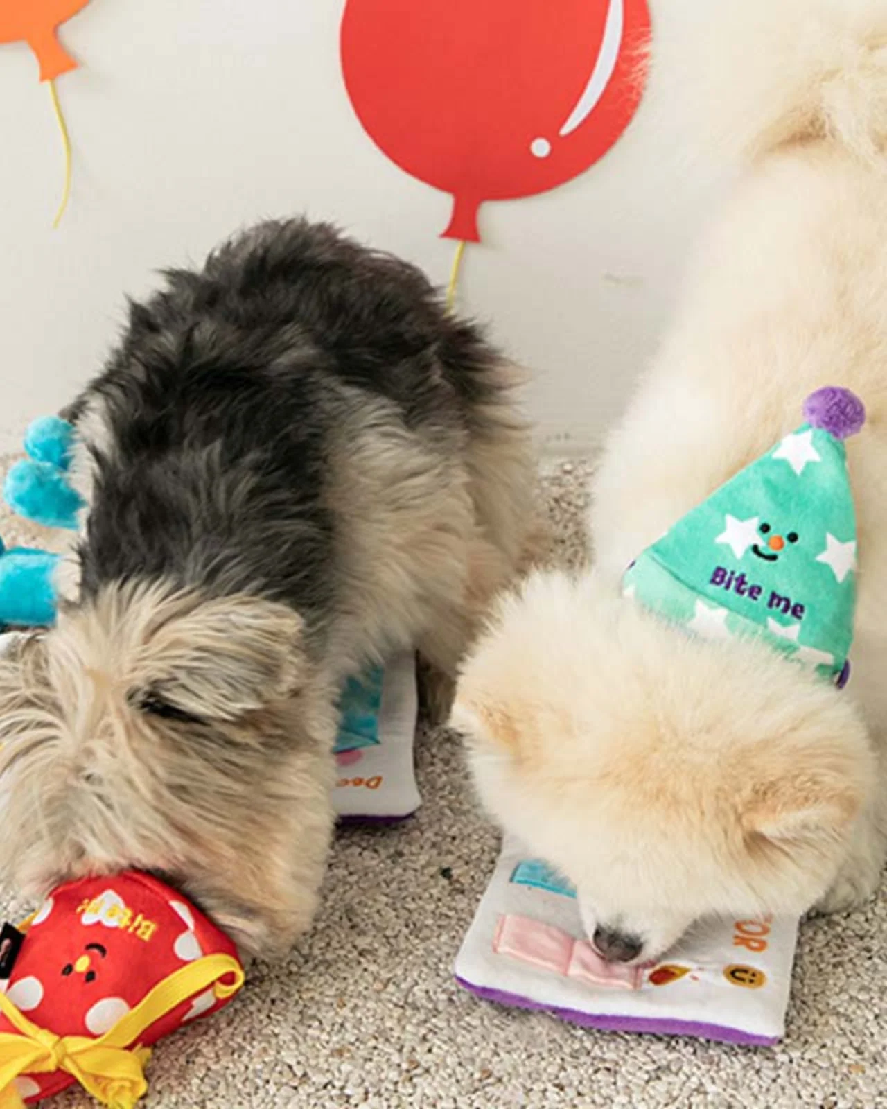Party Hat Nosework Dog Toy Set (FINAL SALE) - Image 6