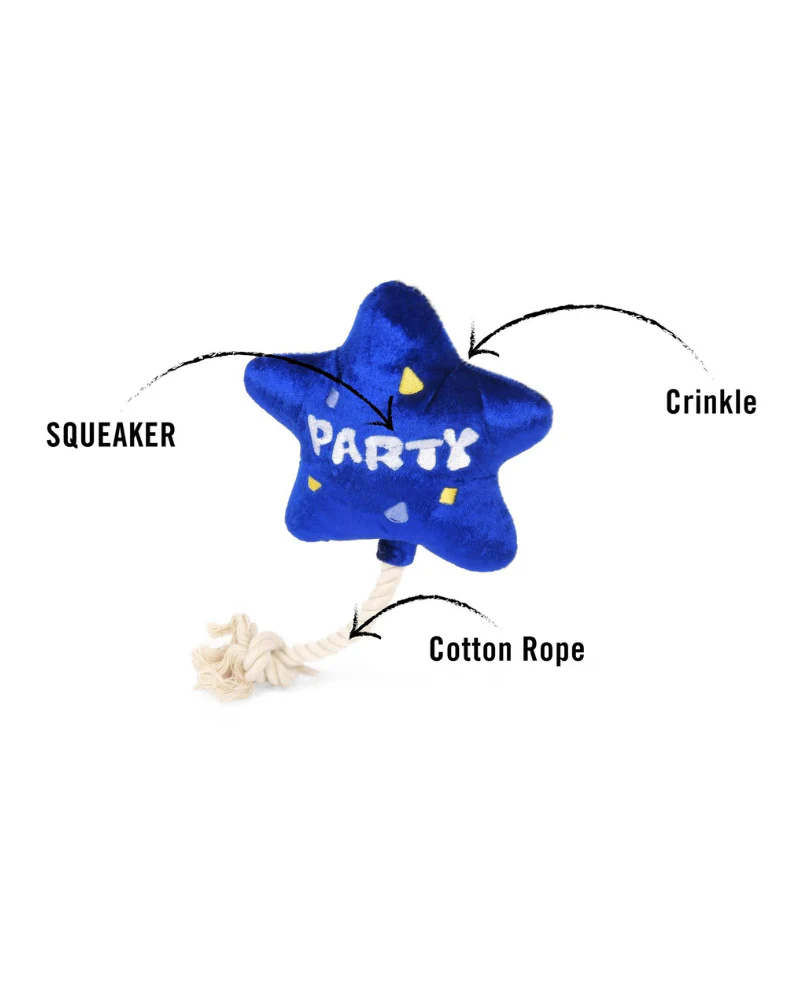 Best Day Ever Balloon Squeaker Dog Toy - Image 3