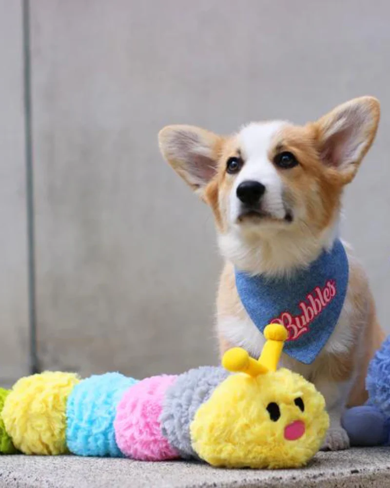 Pastel Caterpillar Jumbo Dog Toy (FINAL SALE) - Image 2