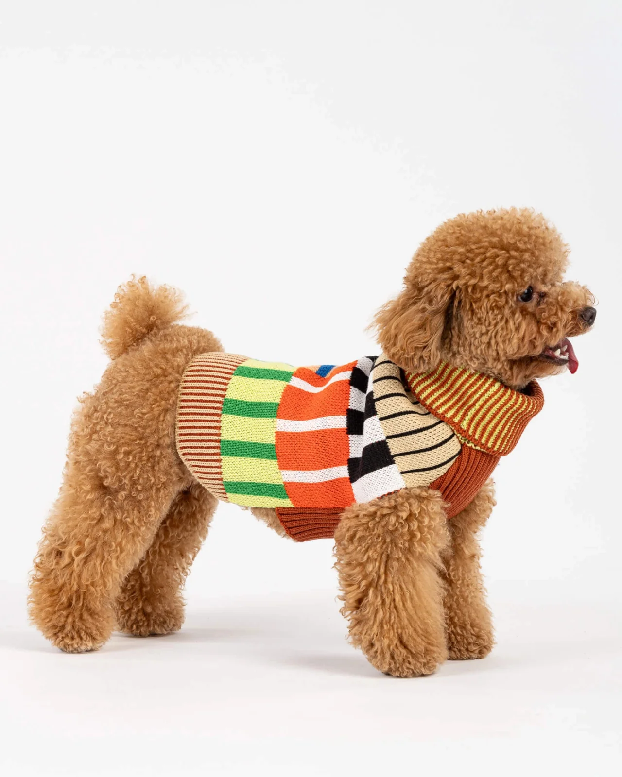 Patchwork Stripe Dog Sweater in Desert - Image 4