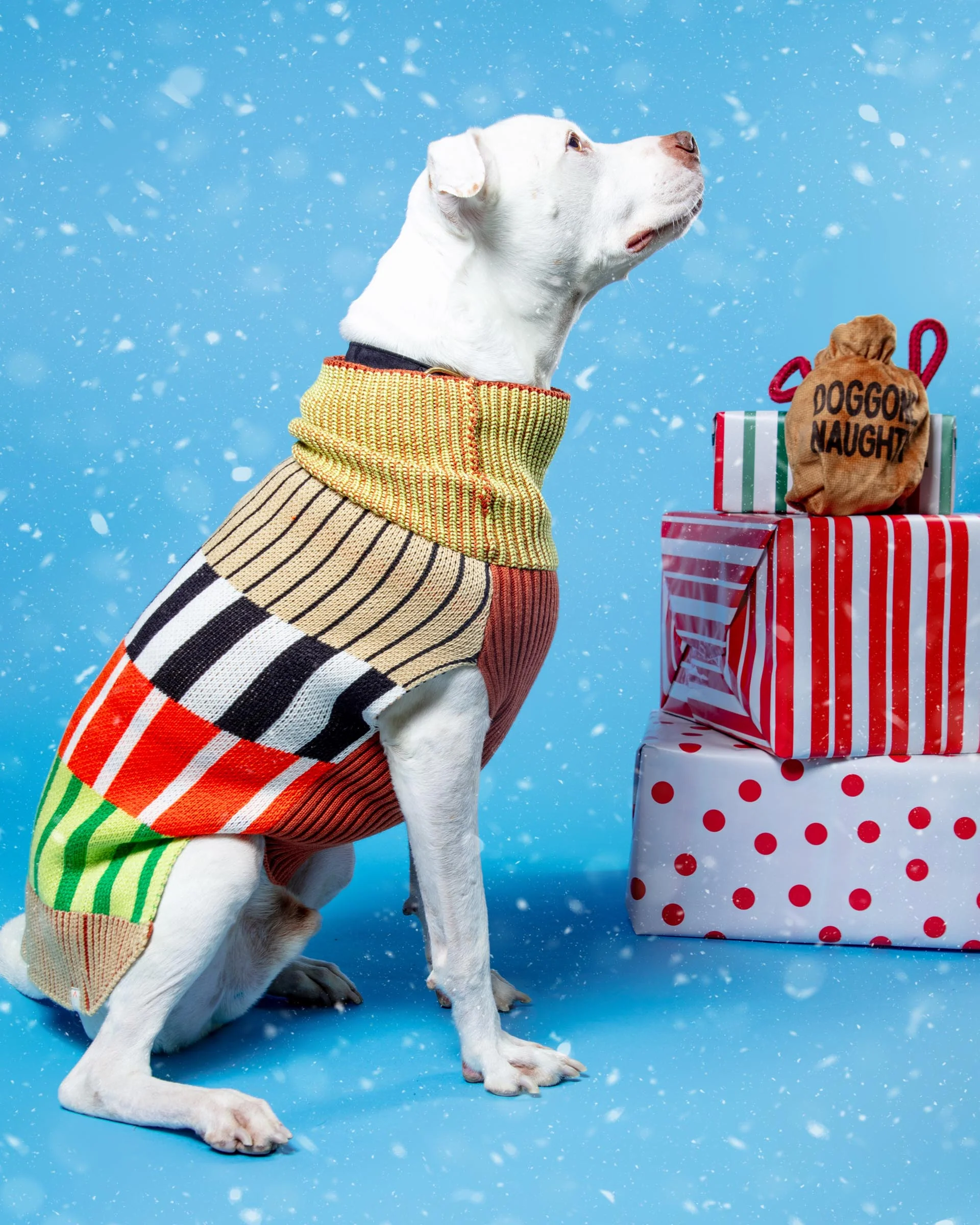 Patchwork Stripe Dog Sweater in Desert - Image 8