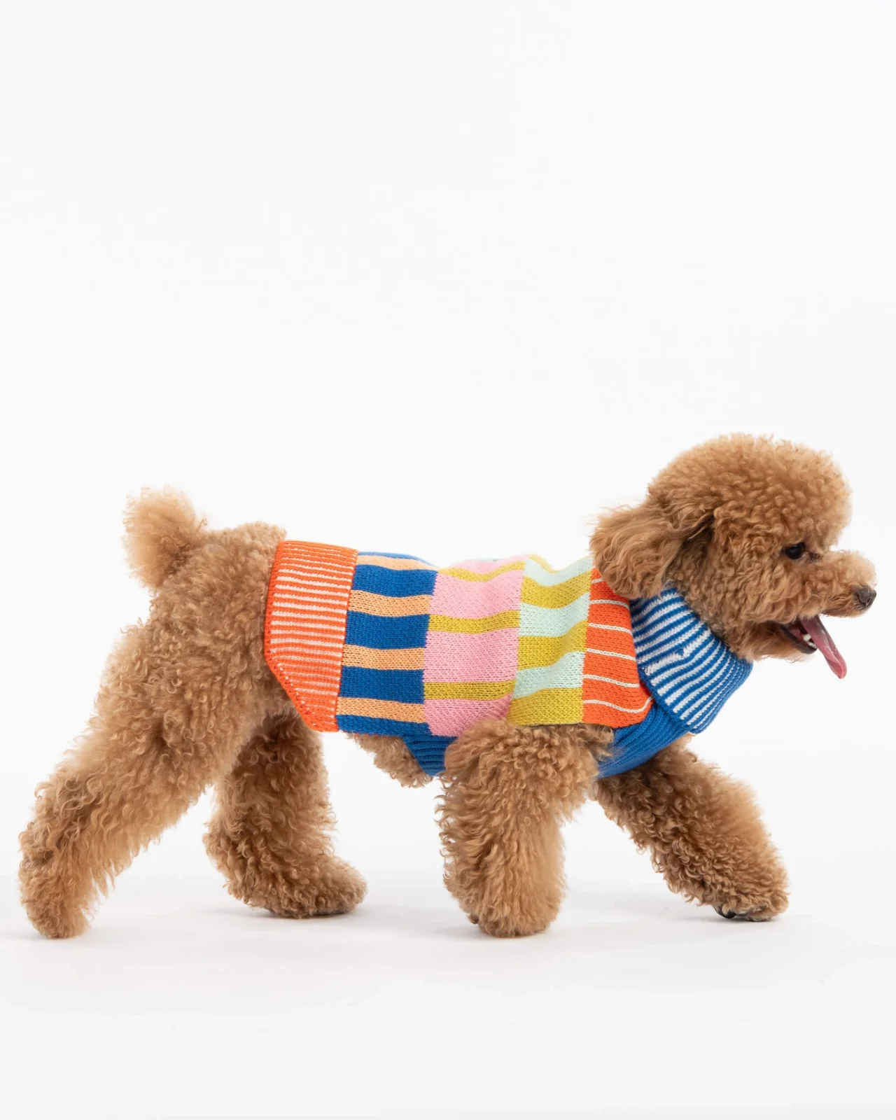Patchwork Stripe Dog Sweater in Rainbow - Image 2