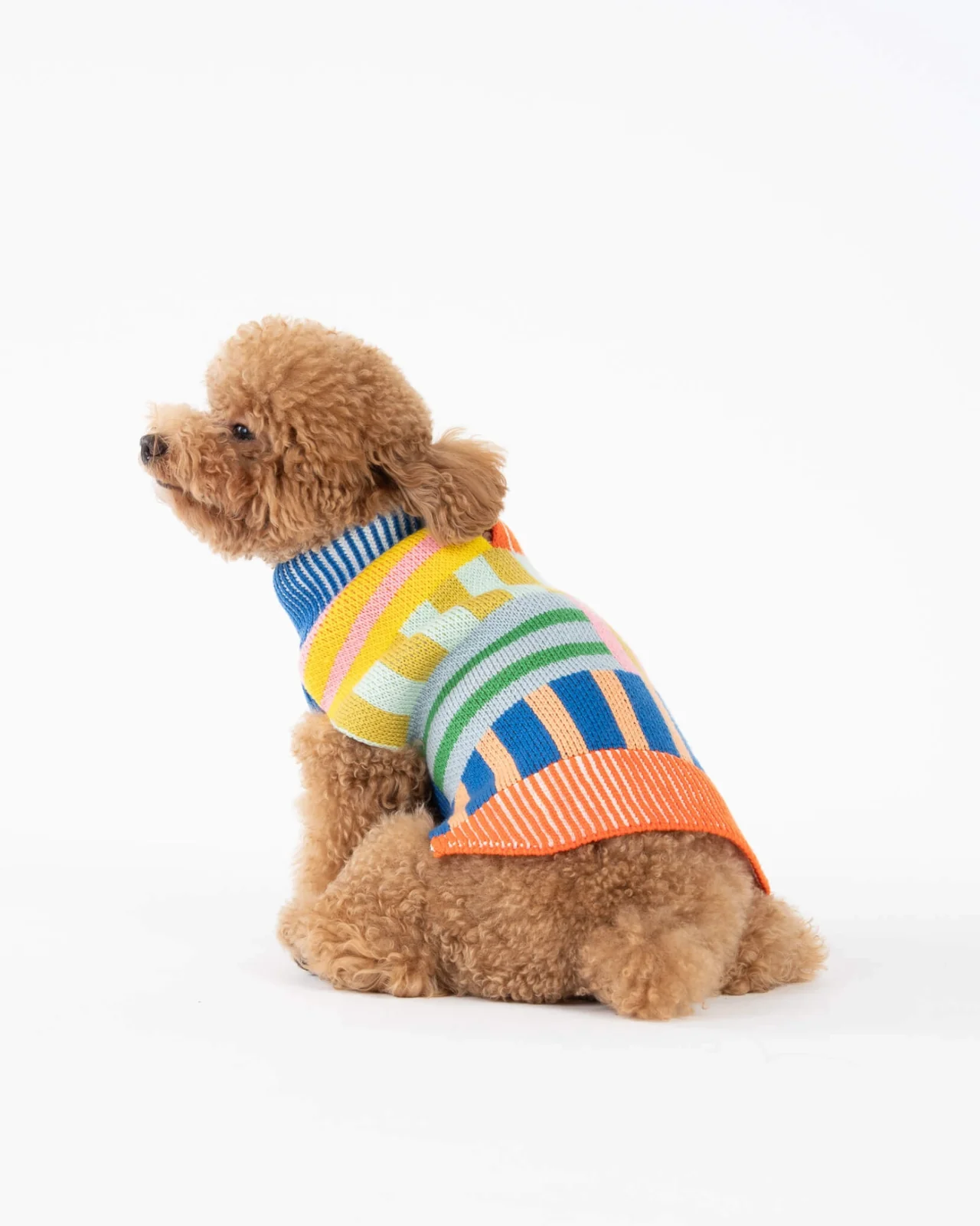 Patchwork Stripe Dog Sweater in Rainbow - Image 3