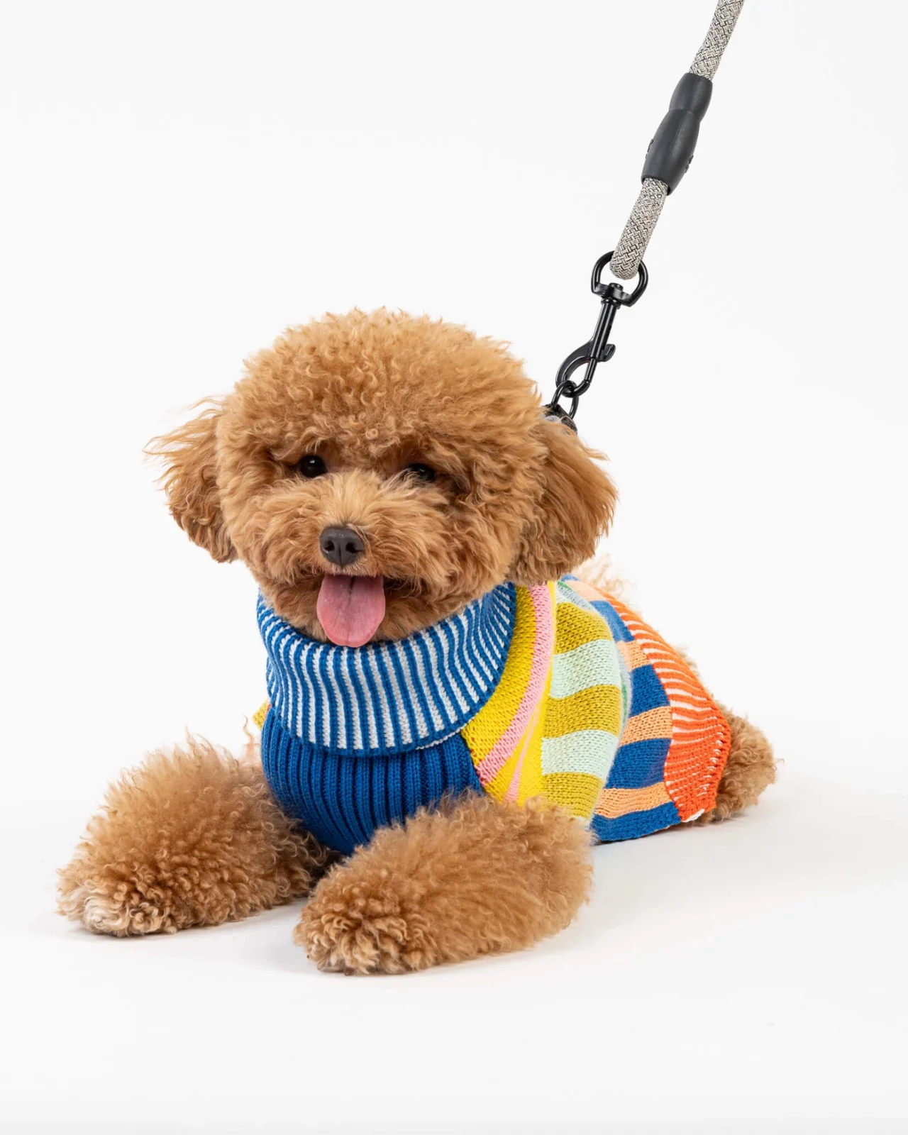 Patchwork Stripe Dog Sweater in Rainbow - Image 6