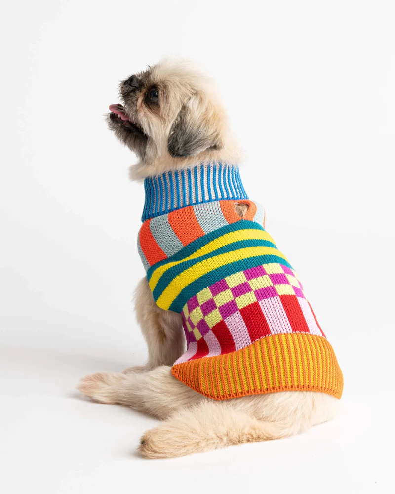 Pattern Patch Dog Sweater in Rainbow