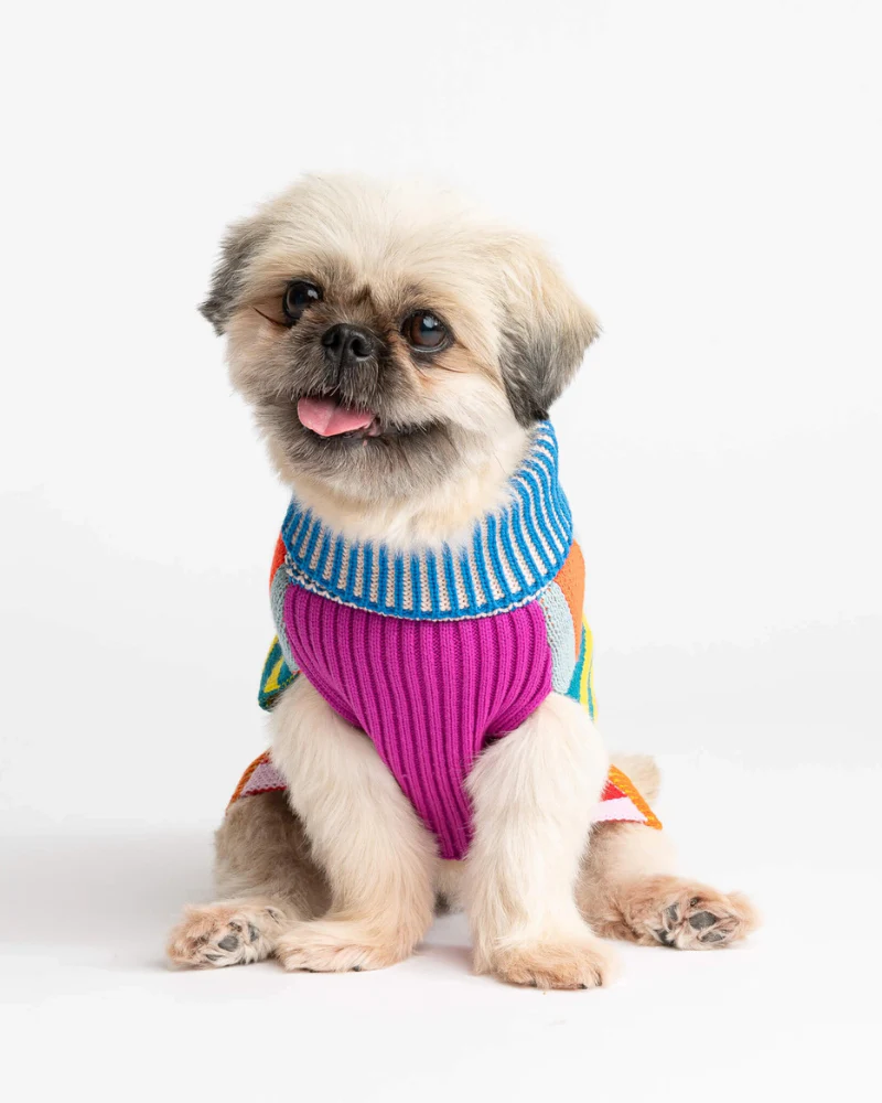 Pattern Patch Dog Sweater in Rainbow - Image 4