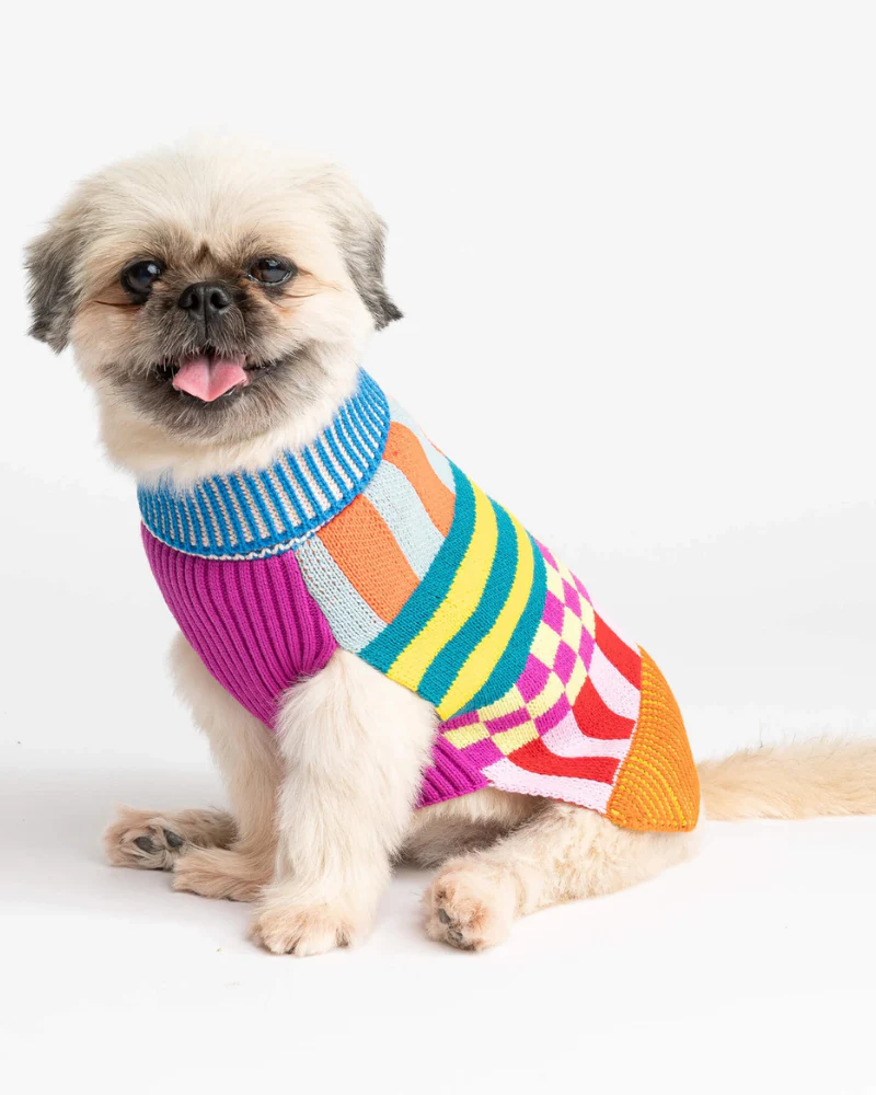Pattern Patch Dog Sweater in Rainbow - Image 5