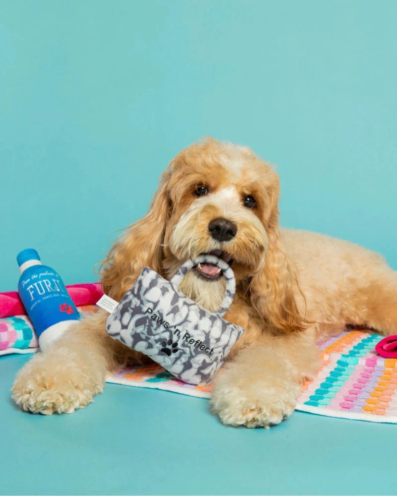 Paw-Lo Plush Squeaky Dog Toy - Image 3