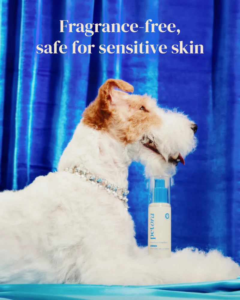 Pawfect Comfort Nose-to-Tail Soothing Jelly Serum for Dogs & Cats - Image 11