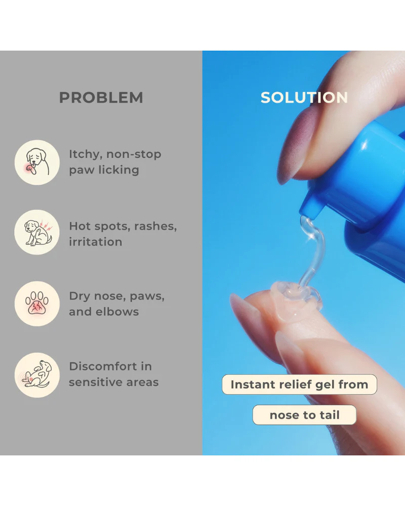 Pawfect Comfort Nose-to-Tail Soothing Jelly Serum for Dogs & Cats - Image 12