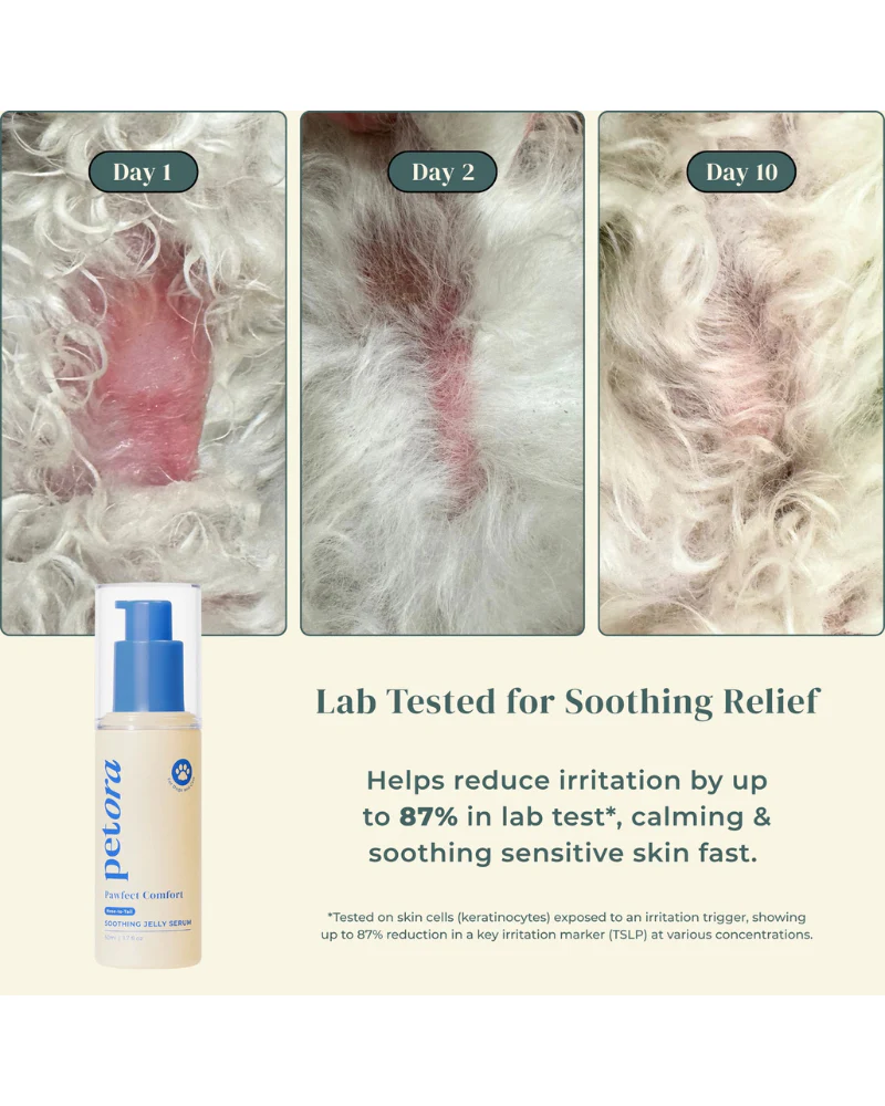 Pawfect Comfort Nose-to-Tail Soothing Jelly Serum for Dogs & Cats - Image 3