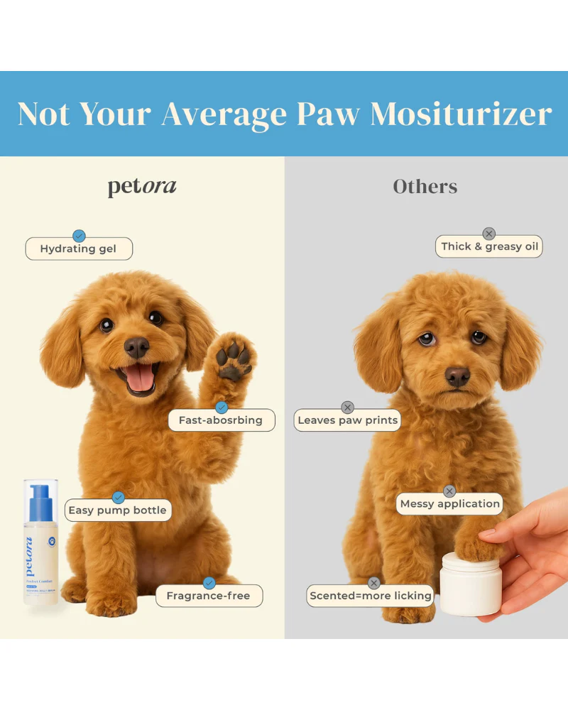 Pawfect Comfort Nose-to-Tail Soothing Jelly Serum for Dogs & Cats - Image 4
