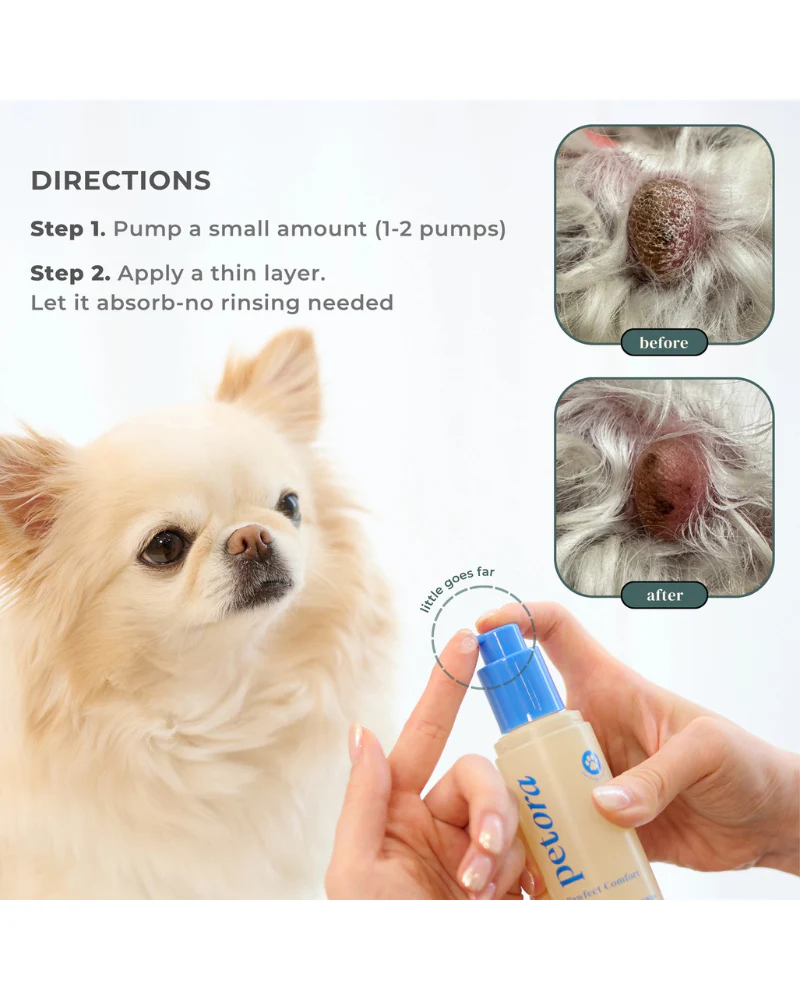 Pawfect Comfort Nose-to-Tail Soothing Jelly Serum for Dogs & Cats - Image 6