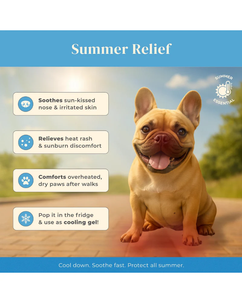 Pawfect Comfort Nose-to-Tail Soothing Jelly Serum for Dogs & Cats - Image 7