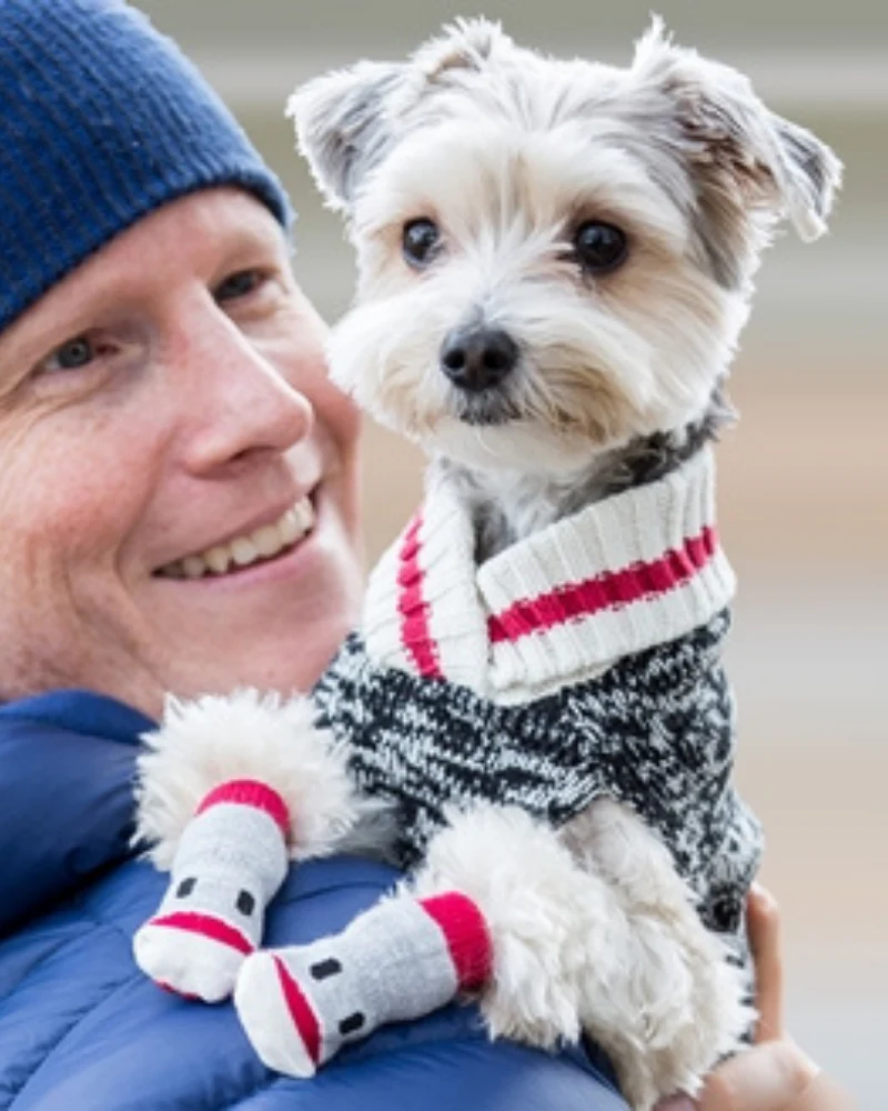 Pawks Dog Socks<br>(( FINAL SALE )) - Image 2