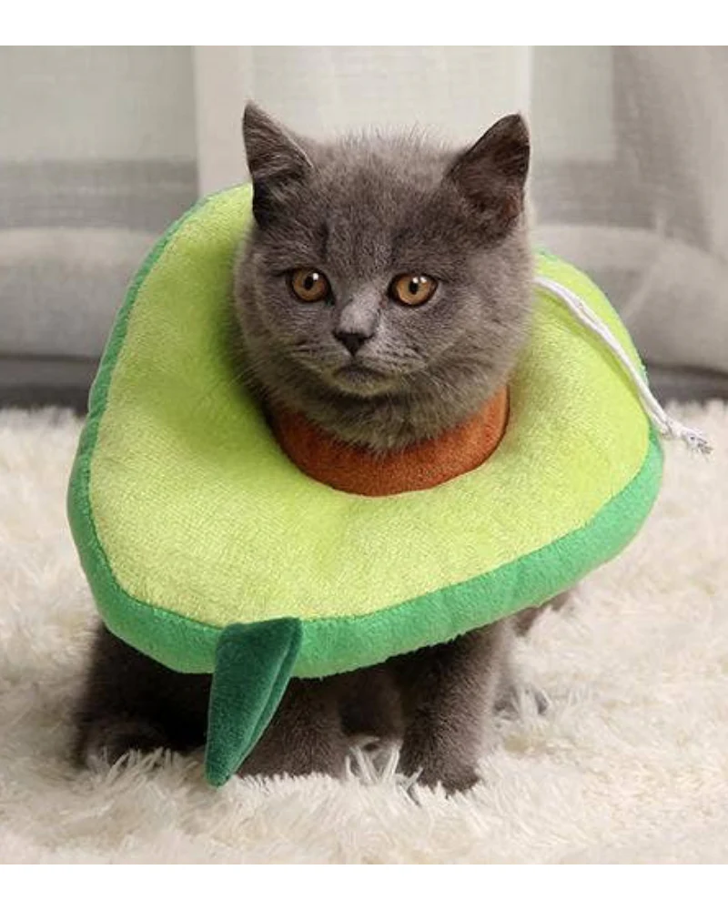 Small Dog & Cat Avocado Cone - Image 4