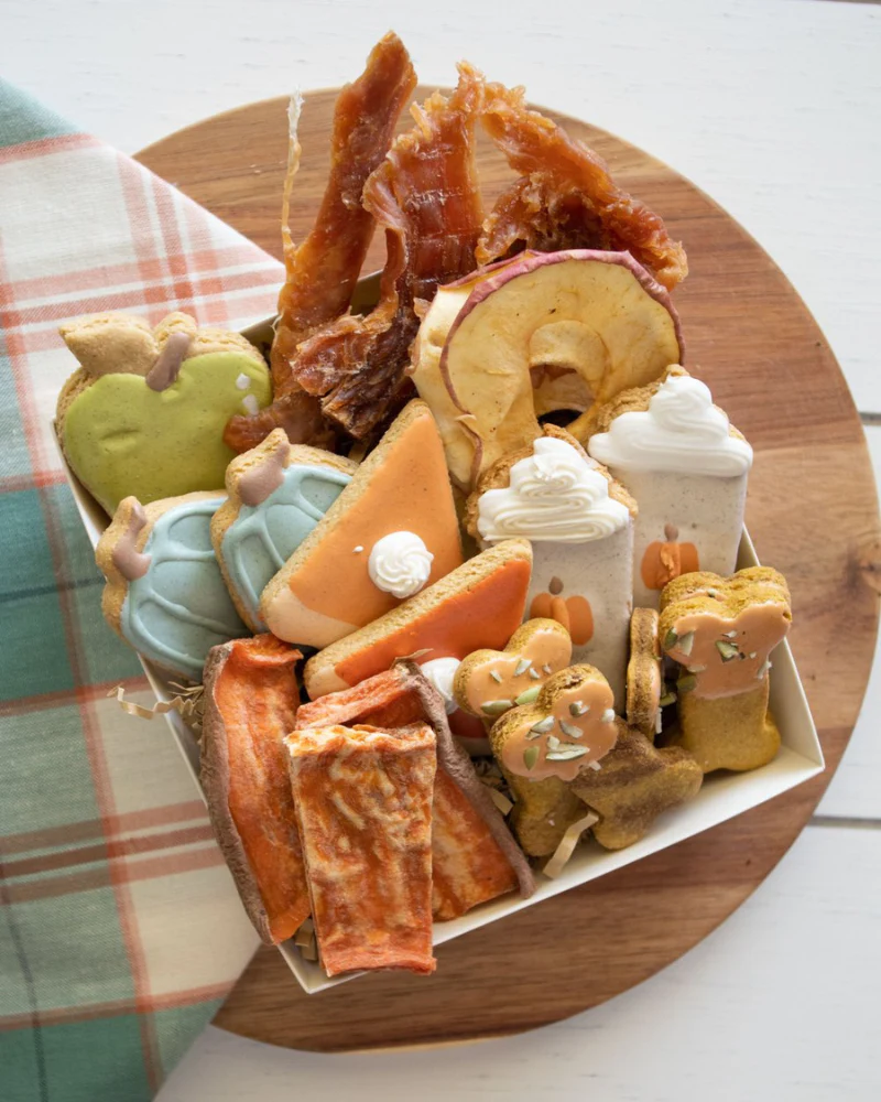 Pawtumn Harvest Dog Treat Box