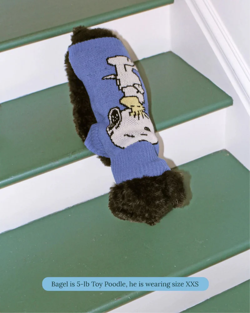 Peanuts Snoopy Dog Sweater in Blue - Image 2