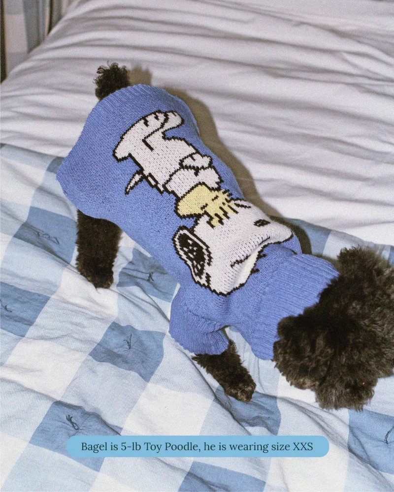 Peanuts Snoopy Dog Sweater in Blue - Image 4