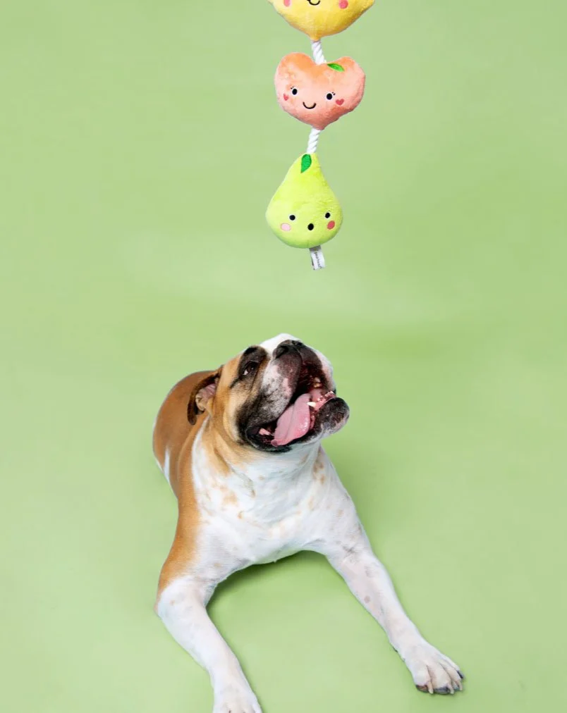 Fruit-on-a-Rope Dog Toy - Image 2