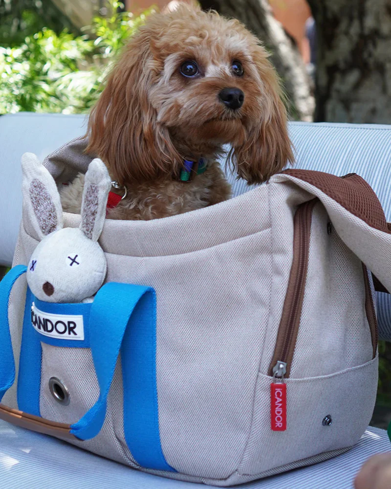 Peek-a-Boo Dog Sling Bag in Cream - Image 16