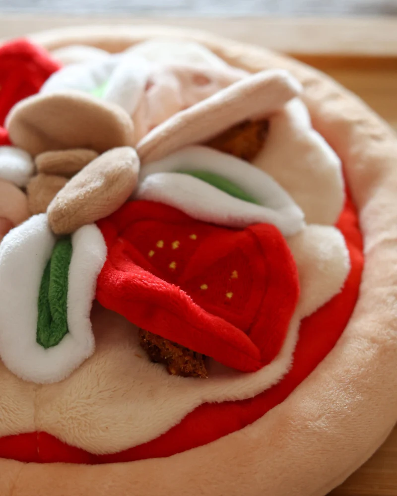 Pepperoni Pizza Nosework Dog Toy - Image 6
