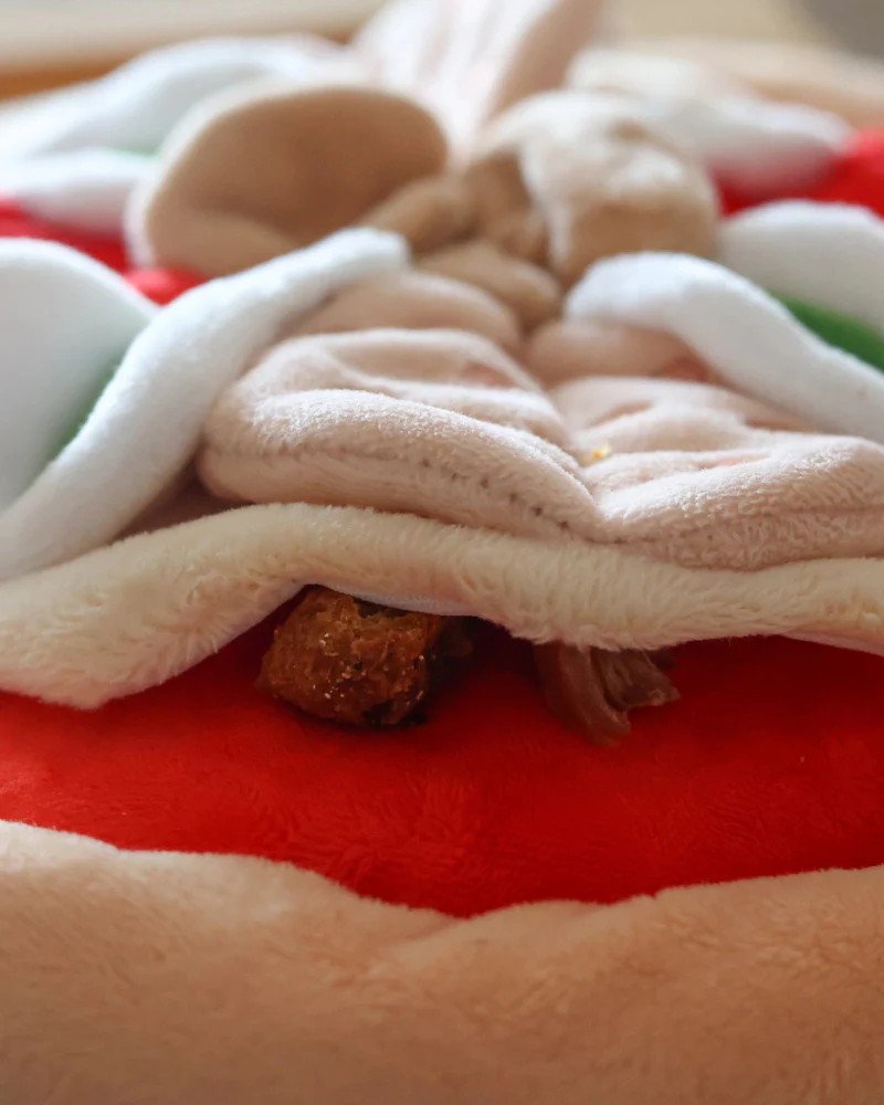 Pepperoni Pizza Nosework Dog Toy - Image 8