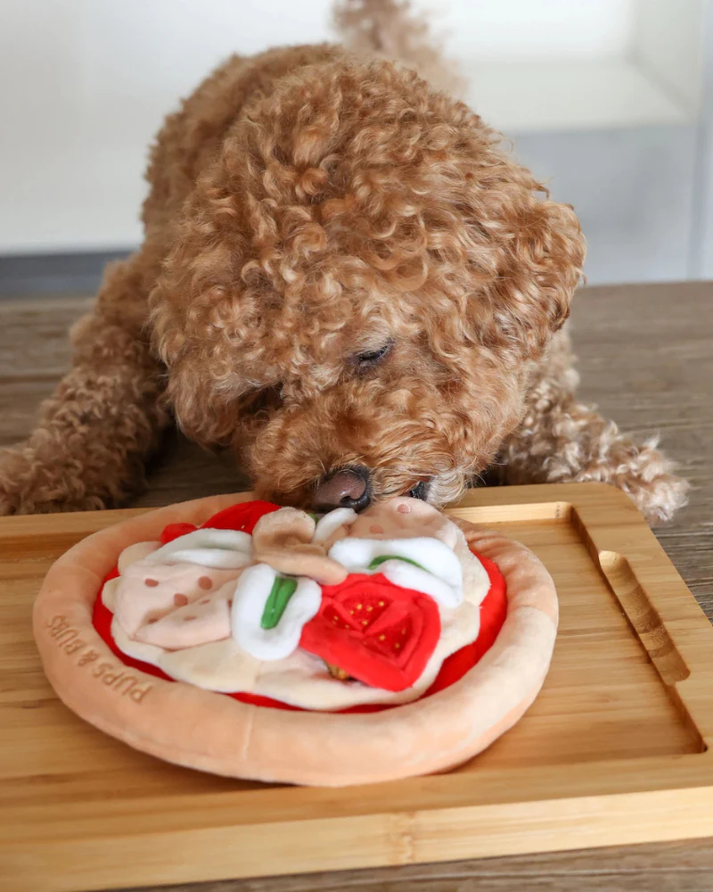 Pepperoni Pizza Nosework Dog Toy - Image 9