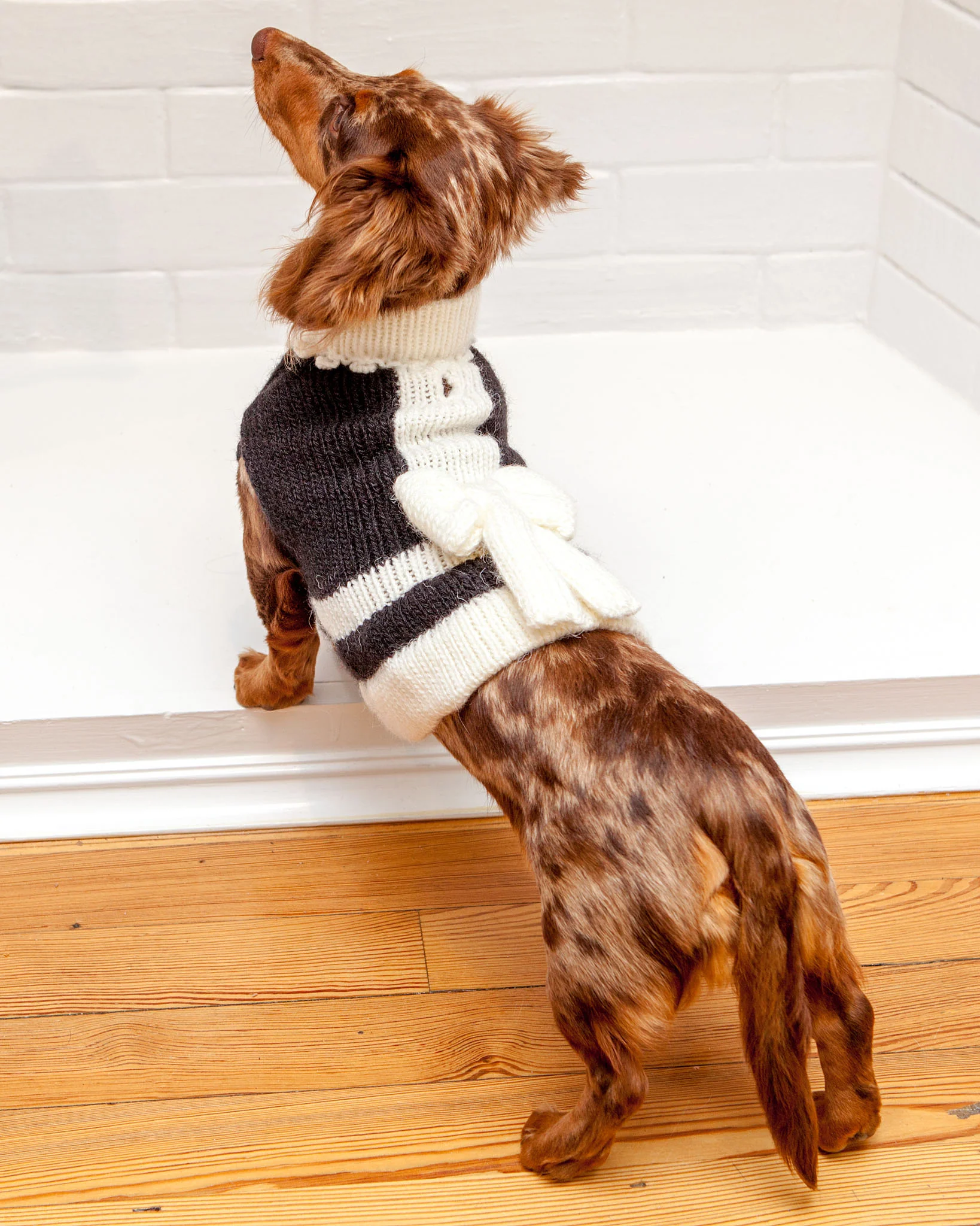Perfect Present Handknit Dog Sweater (FINAL SALE) - Image 3