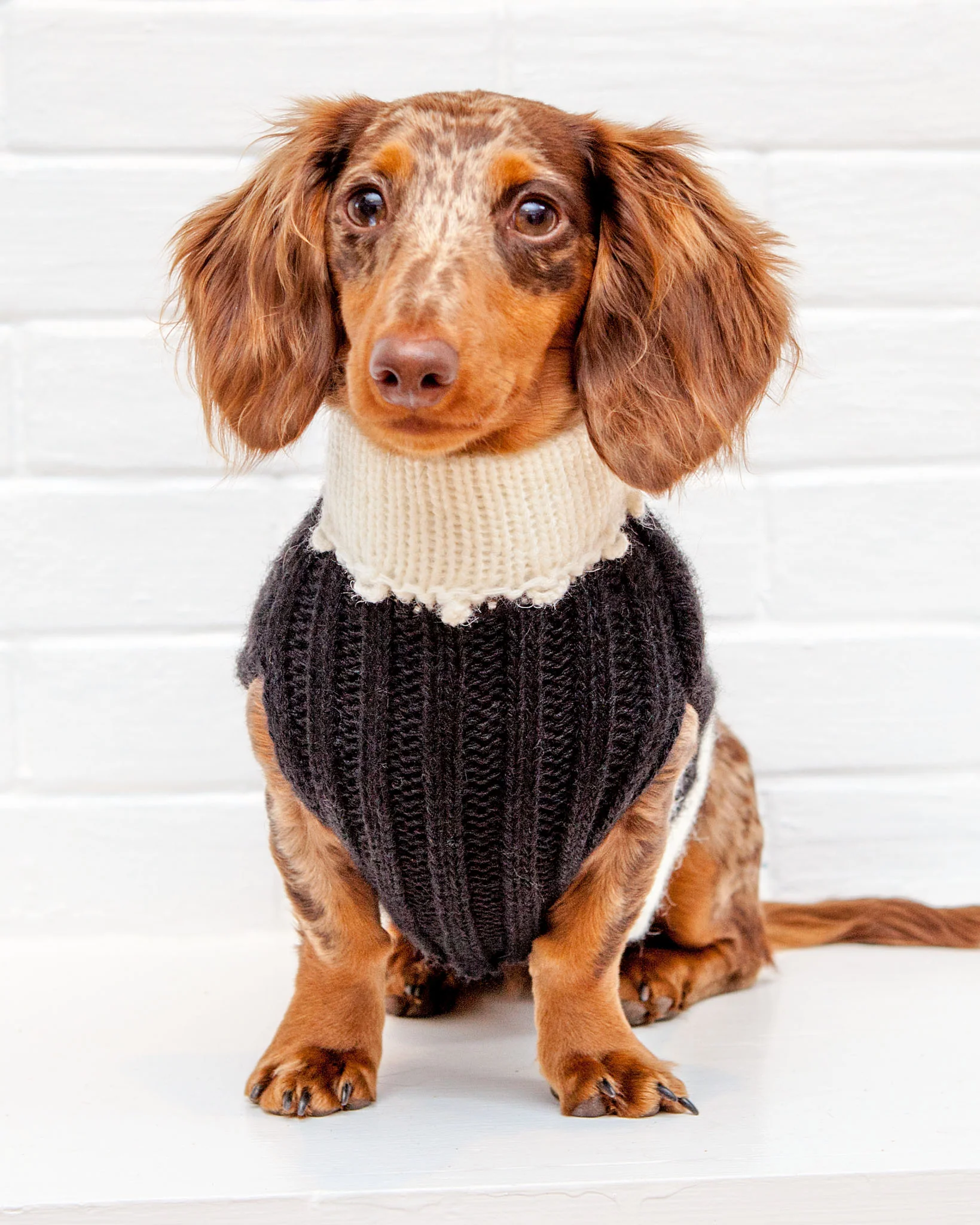 Perfect Present Handknit Dog Sweater (FINAL SALE) - Image 4