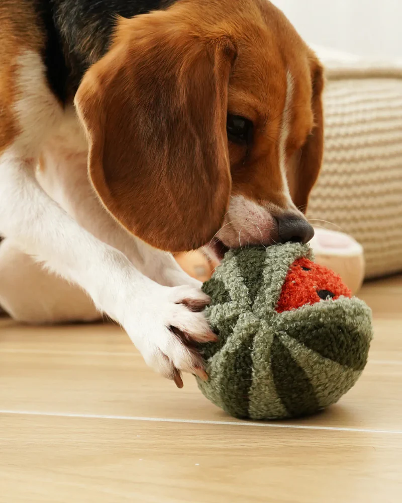Watermelon Pop Snuffle Squeaky Plush Toy for Dogs - Image 6
