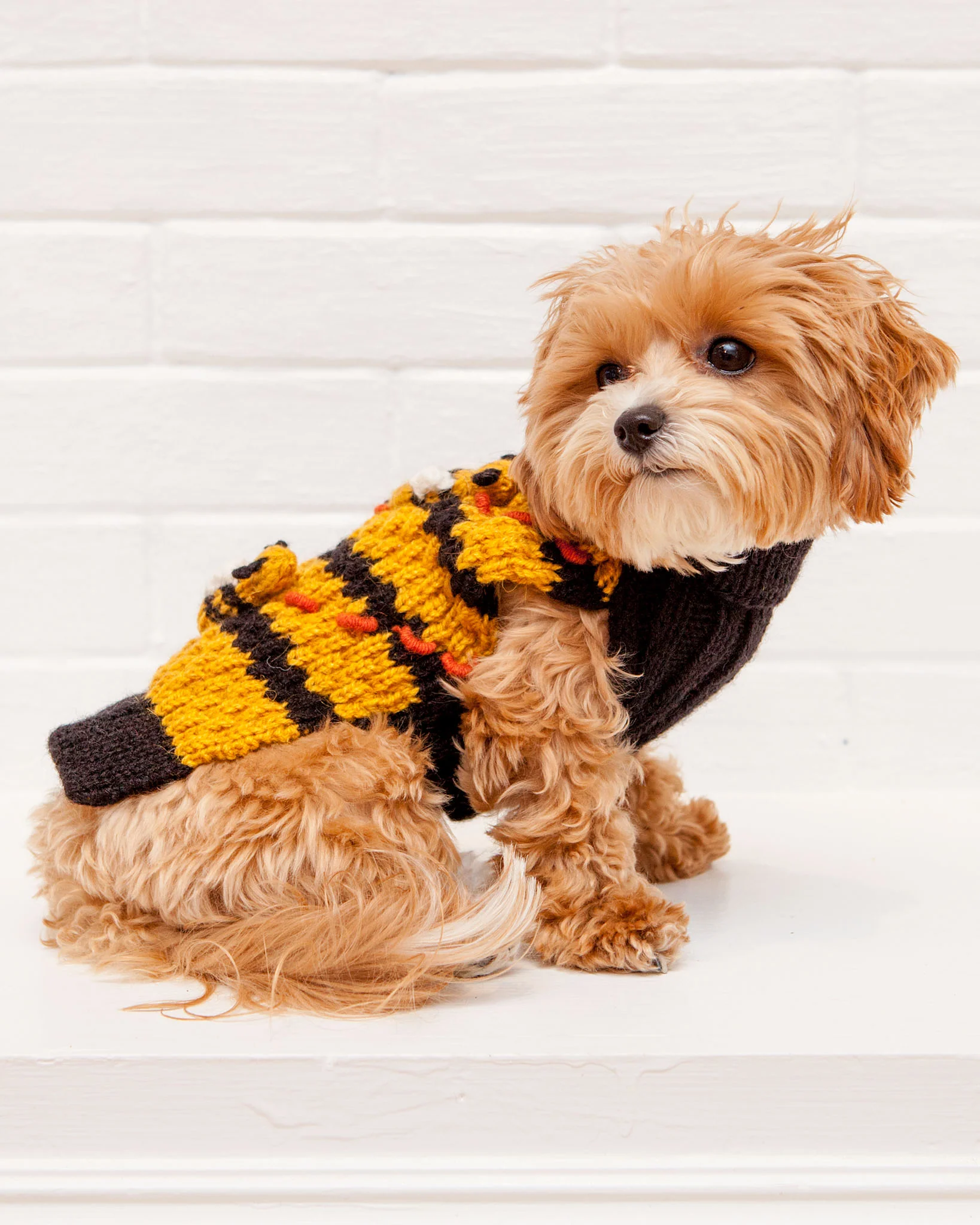 Buzz Off! Bumble Bee Hive Hand-Knit Sweater (FINAL SALE) - Image 4
