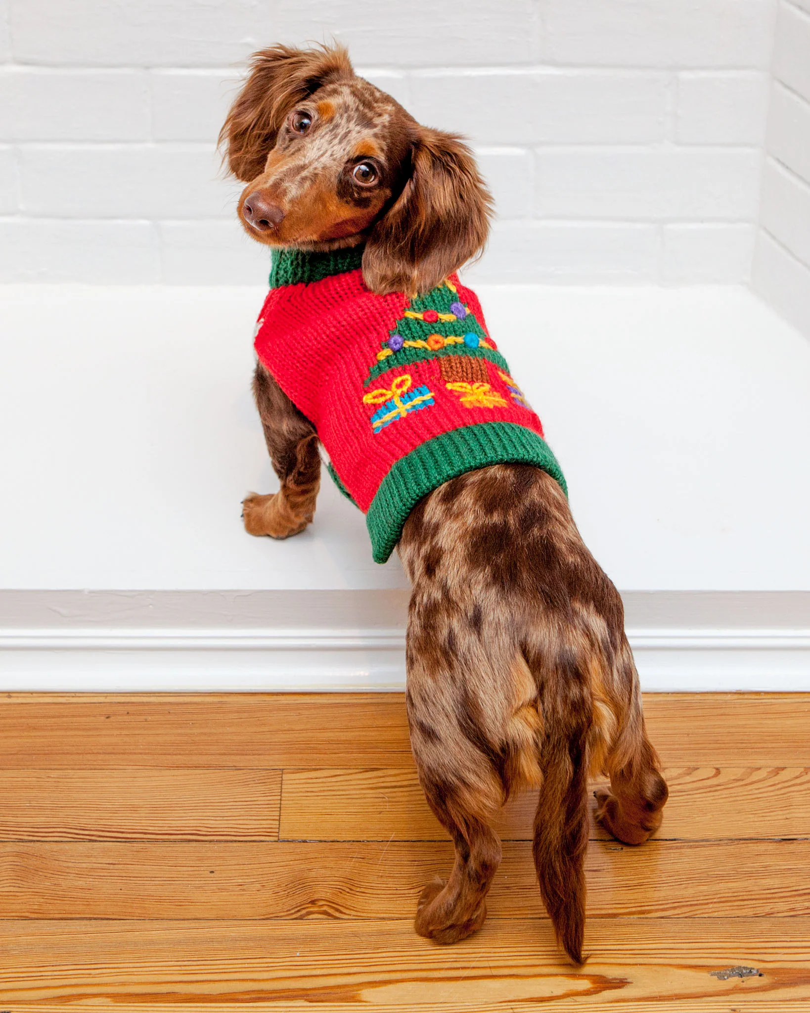 Barking Around the Christmas Tree Handknit Dog Sweater - Image 2