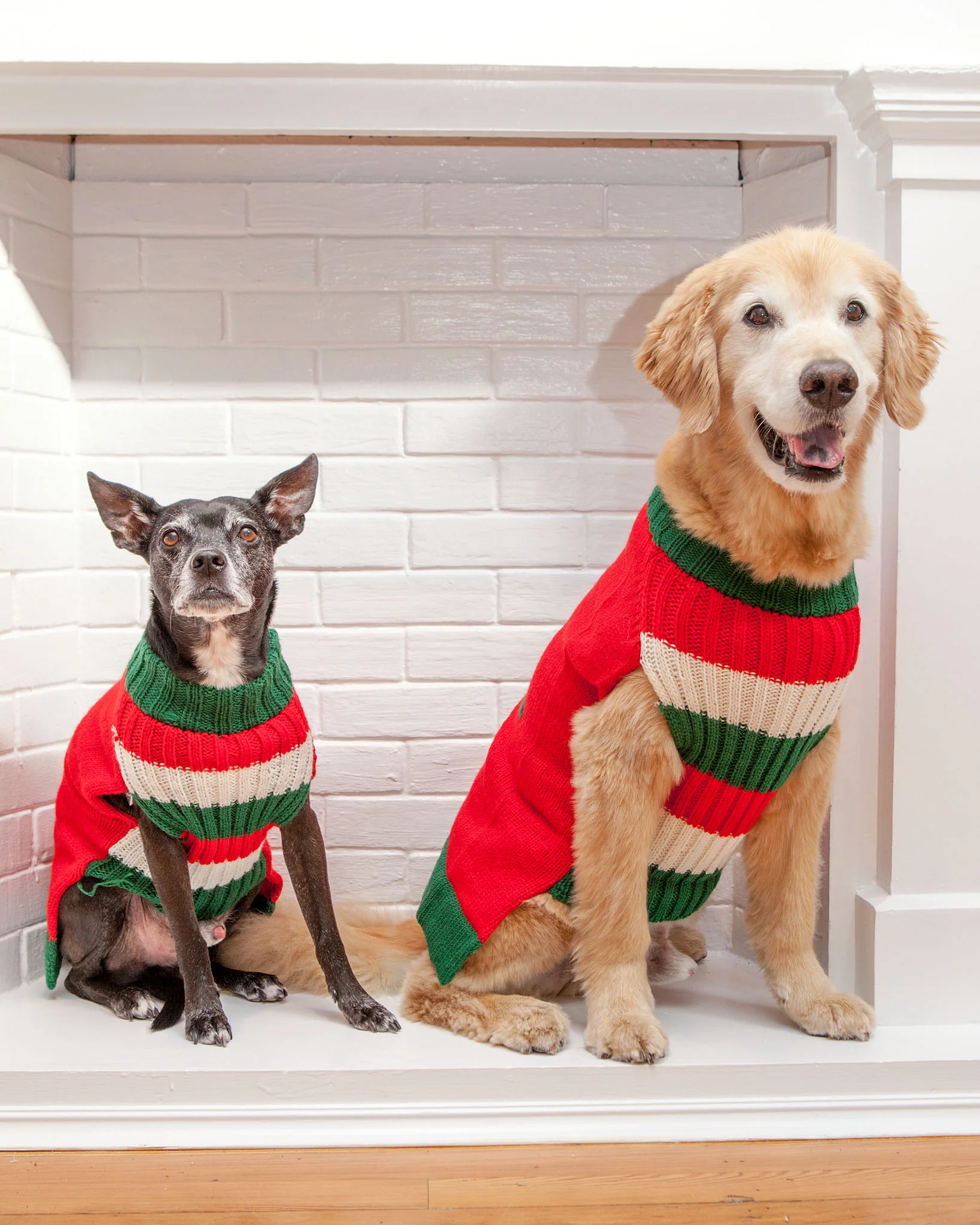Barking Around the Christmas Tree Handknit Dog Sweater - Image 5
