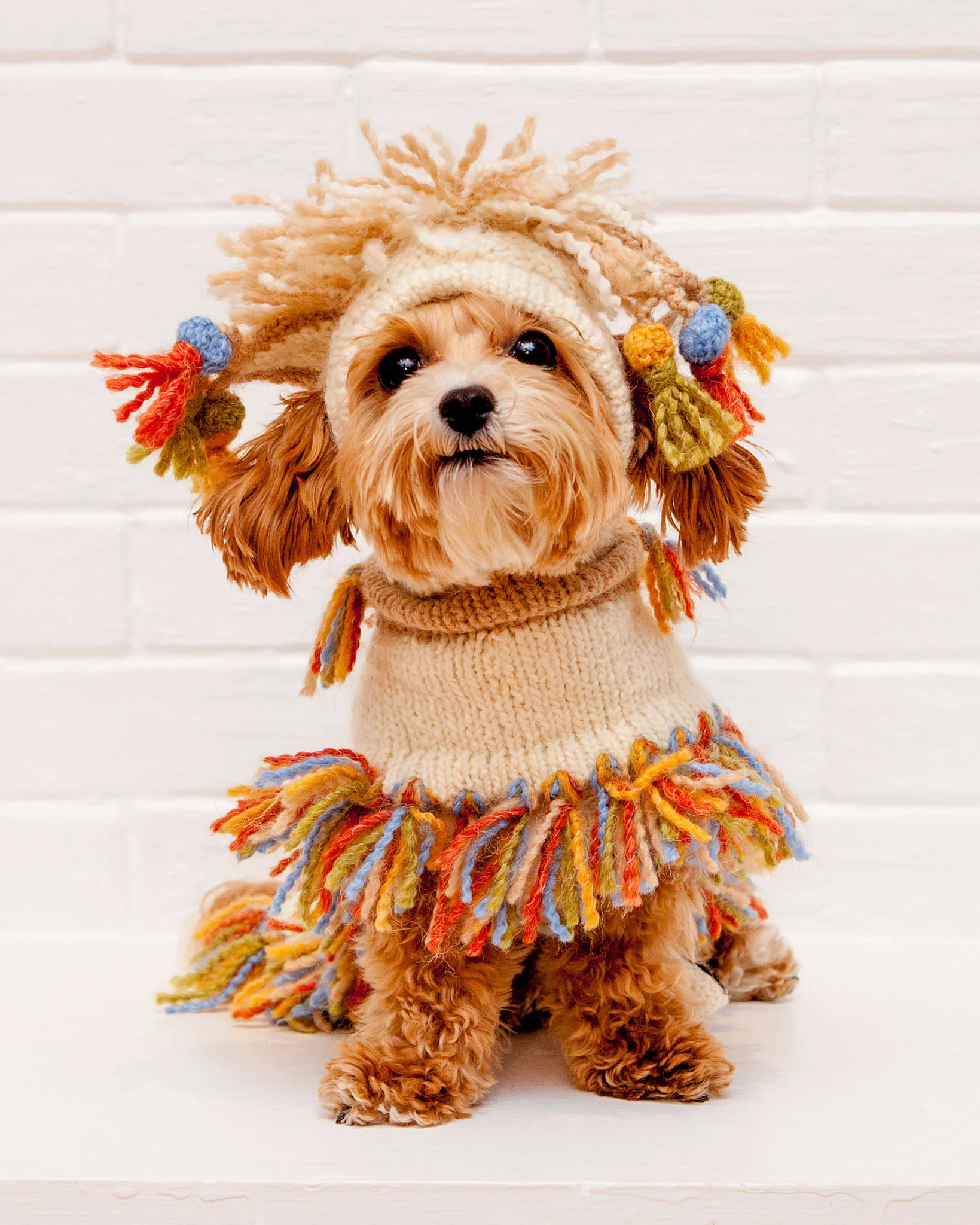 Mama Llama Festive Hand Knit Sweater Poncho (Dog & Co. Exclusive) (FINAL SALE) - Image 2