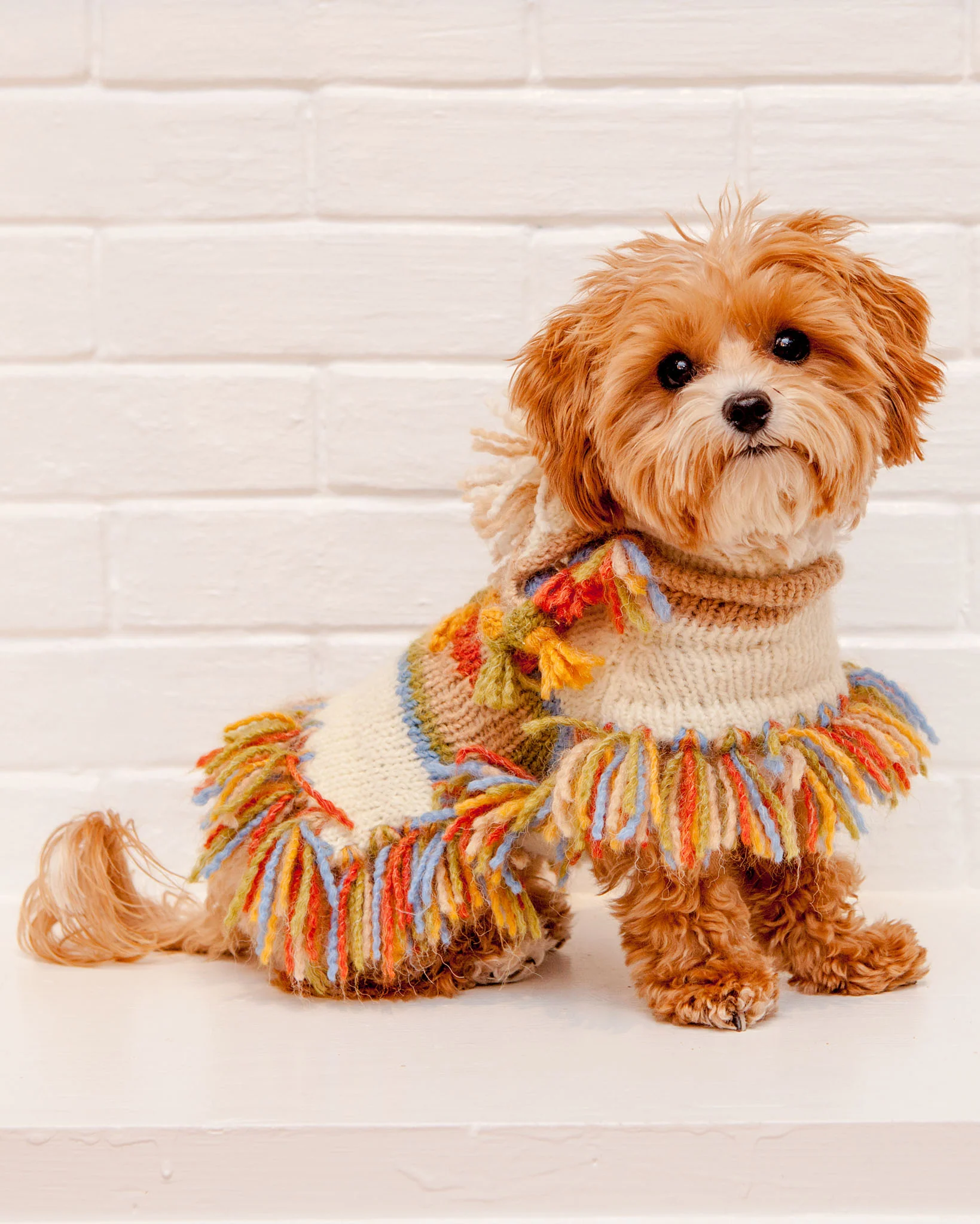 Mama Llama Festive Hand Knit Sweater Poncho (Dog & Co. Exclusive) (FINAL SALE) - Image 4
