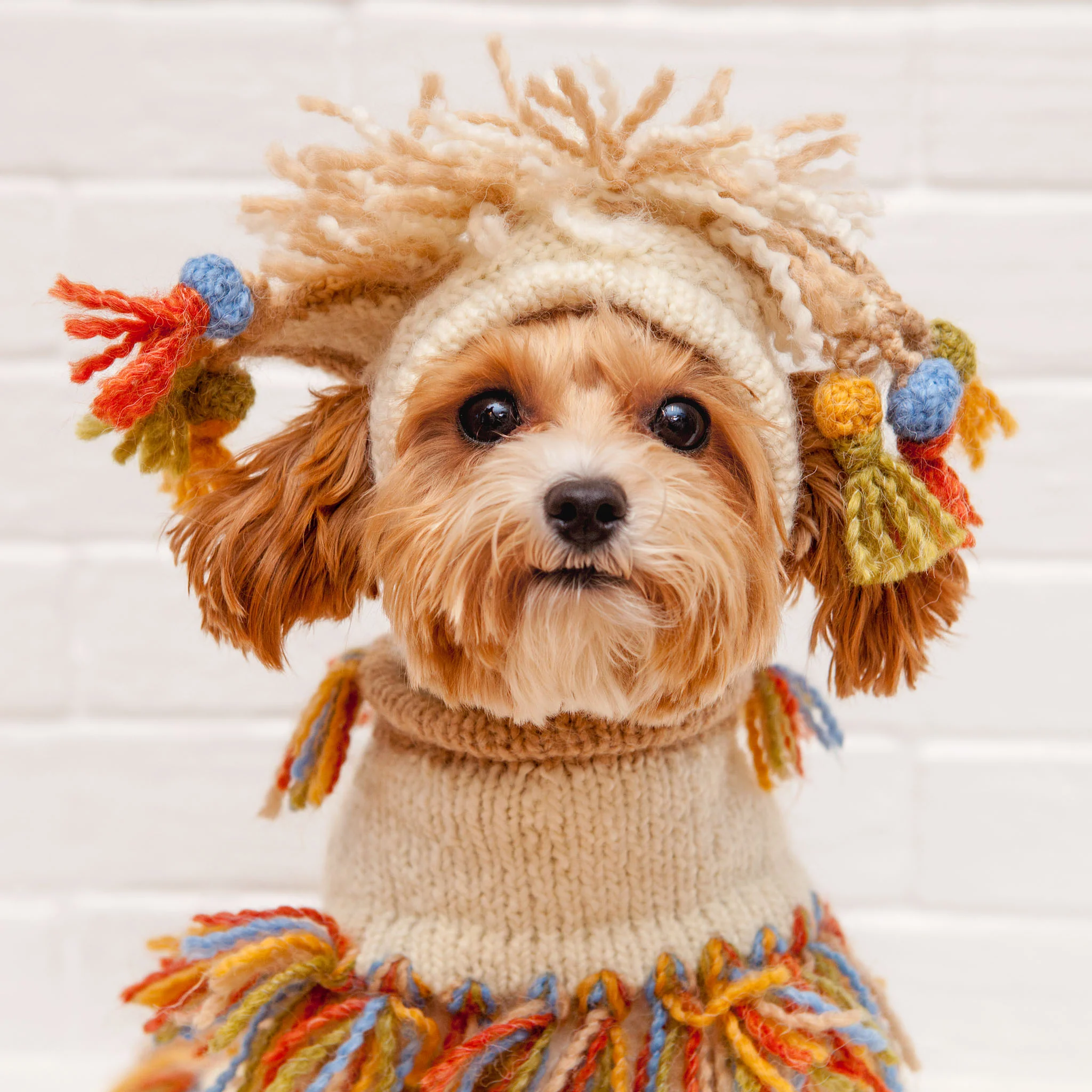 Mama Llama Festive Hand Knit Sweater Poncho (Dog & Co. Exclusive) (FINAL SALE) - Image 5