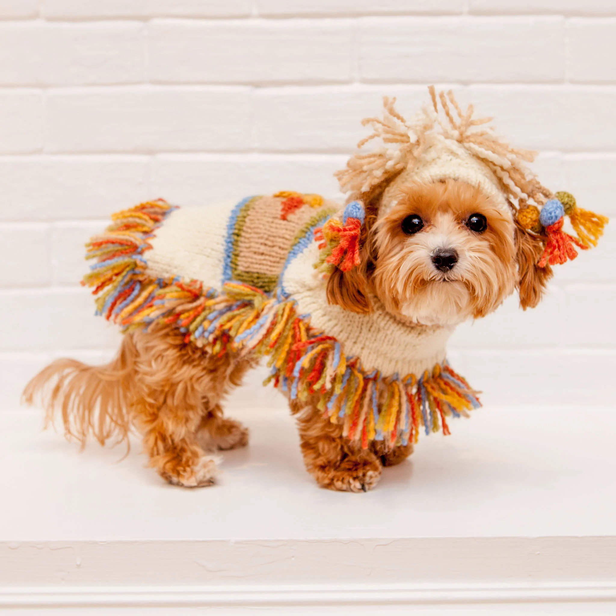 Mama Llama Festive Hand Knit Sweater Poncho (Dog & Co. Exclusive) (FINAL SALE) - Image 6