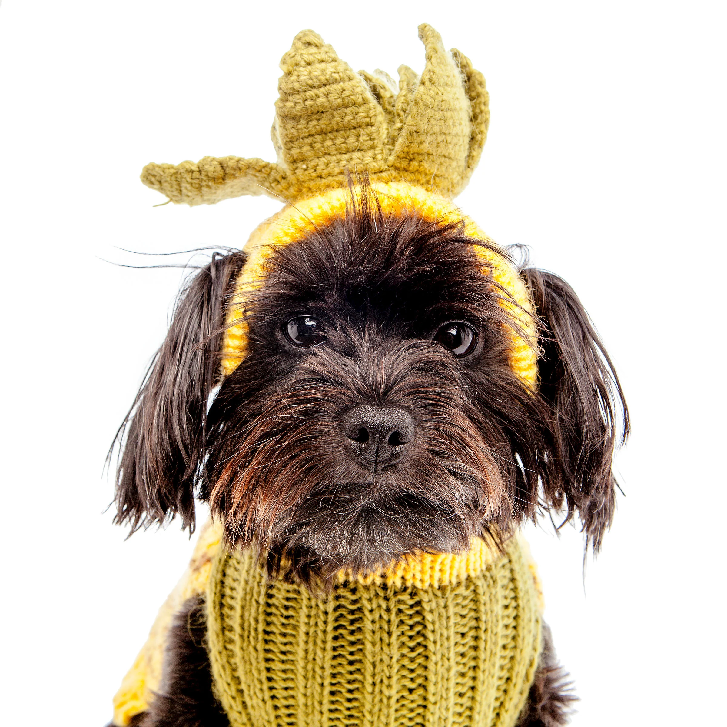 PERUVIAN KNITS | Perky Pineapple Sweater - Image 4