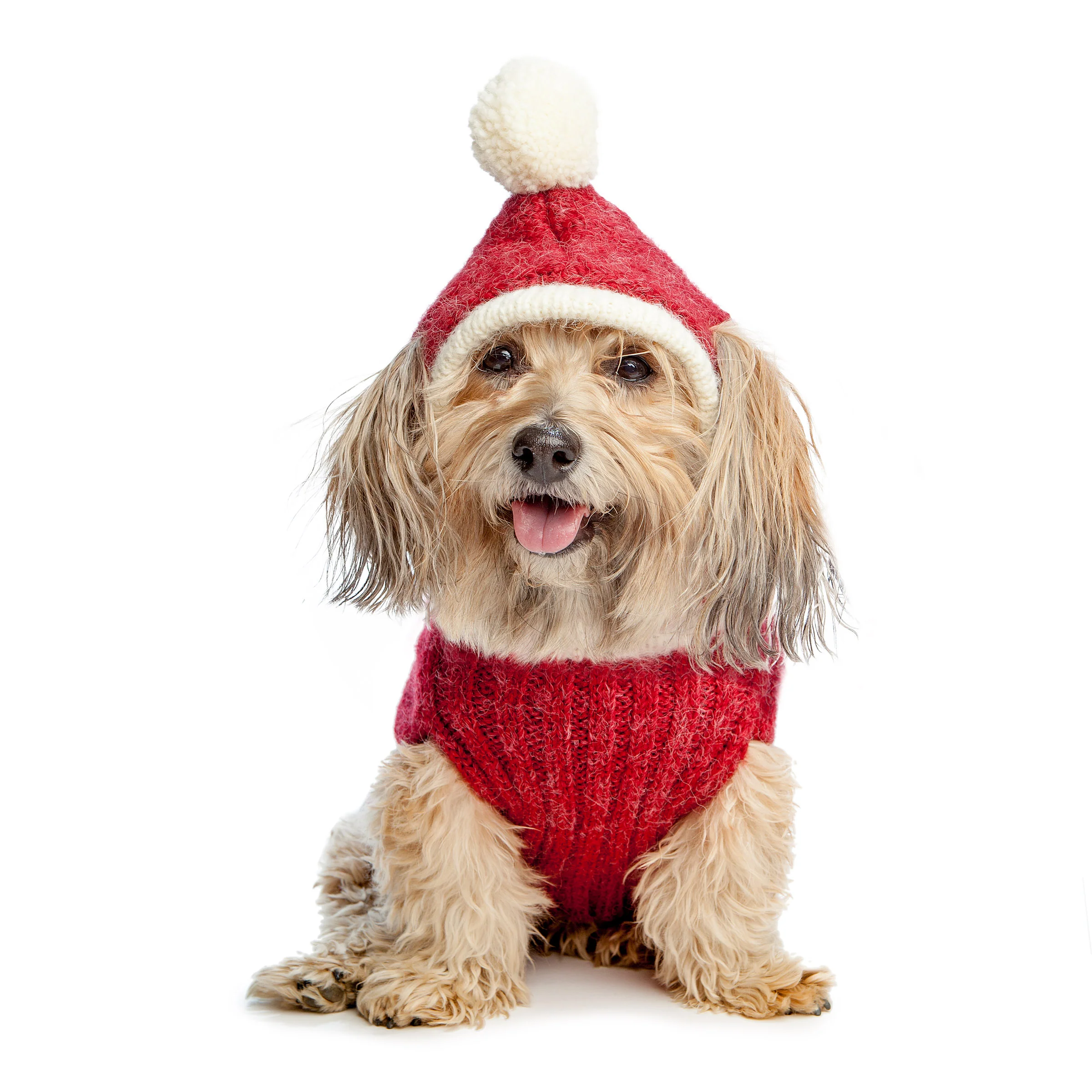 Santa Paws Hand Knit Dog Sweater (FINAL SALE) - Image 10