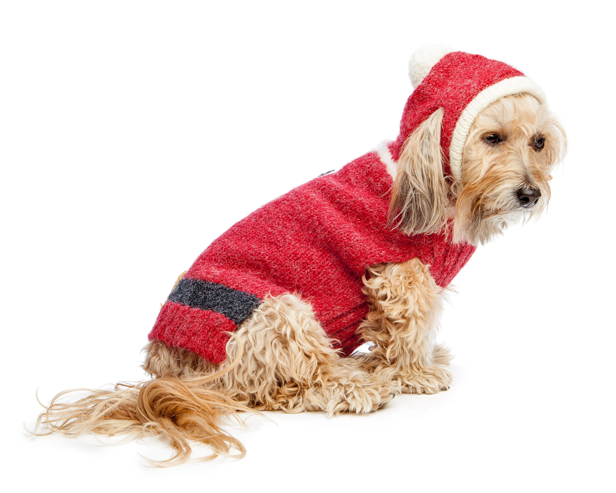 Santa Paws Hand Knit Dog Sweater (FINAL SALE) - Image 11